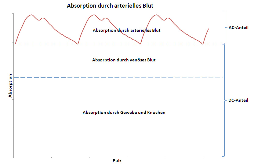 Absorption durch aterielles Blut